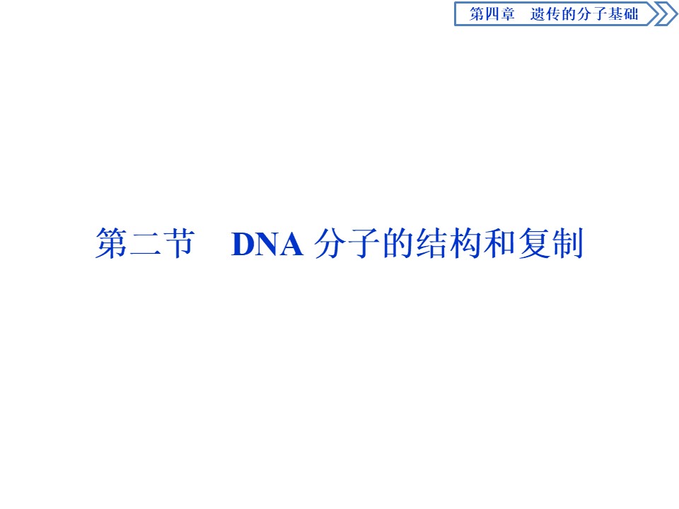 2019-2020学年新苏教版必修2 第四章 第二节　DNA分子的结构和复制 课件（39张）第1页