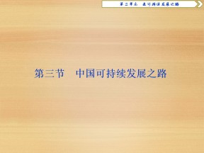 2019-2020学年 鲁教版必修3 ：第二单元 第三节　中国可持续发展之路 课件（45张）