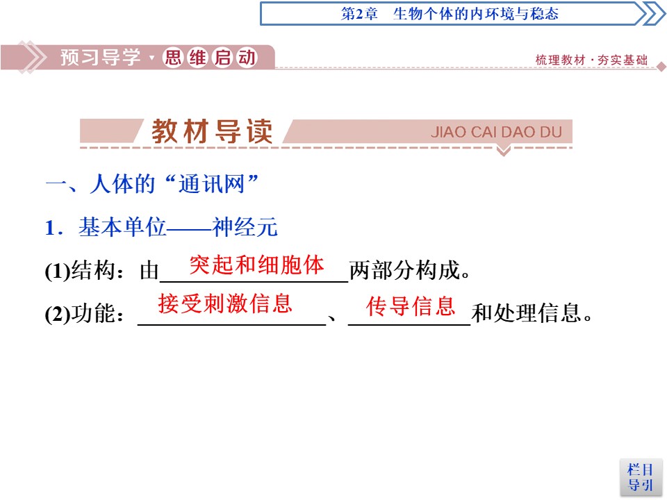 2019-2020学年北师大版必修3 第2章 第3节 课时1　人体的“通讯网”、神经调节的基本过程 课件（51张）第3页
