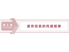 2019-2020学年北师大版必修2 第4章 第1节第1课时 孟德尔对遗传机制的探究及分离规律的试验与分析(一) 课件（43张）