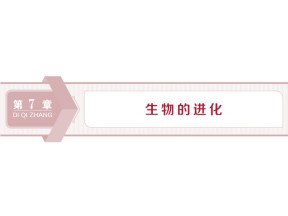 2019-2020学年北师大版必修2 第7章 第1节第2节 生物进化的证据 种群是进化的基本单位 课件（49张）
