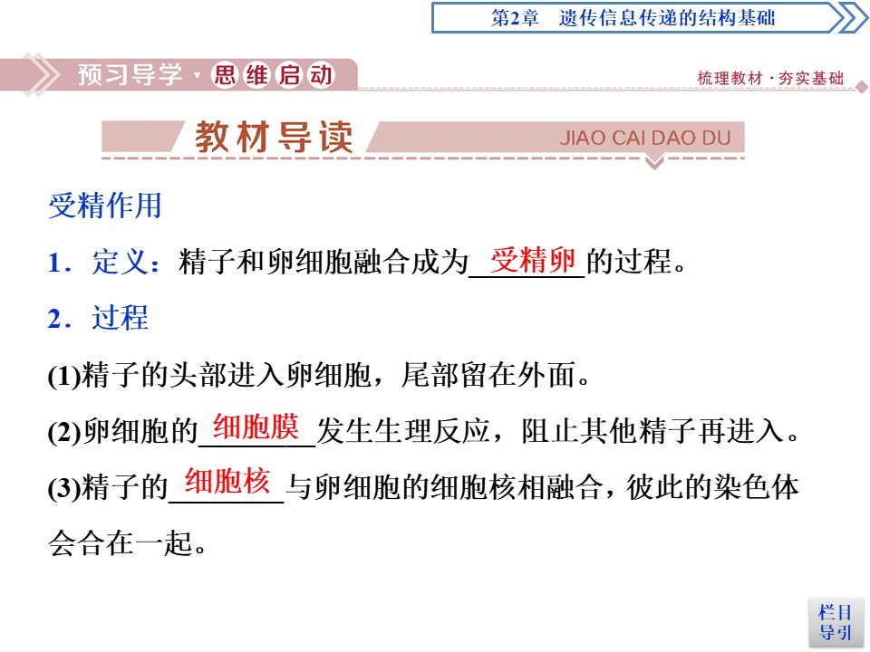 2019-2020学年北师大版必修2 第2章 第1节第3课时 染色体在减数分裂中的行为(三) 课件（34张）第3页