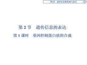 2019-2020学年北师大版必修2 第3章 第2节第1课时 基因控制蛋白质的合成 课件（48张）