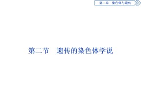 2019-2020学年 浙科版 必修2遗传的染色体学说  课件  （25张）