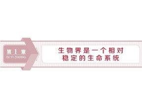 2019-2020学年北师大版必修3 第1章 生物界是一个相对稳定的生命系统 课件（30张）