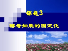 2019-2020学年 人教版 选修1酵母细胞的固定化   课件  （33张）