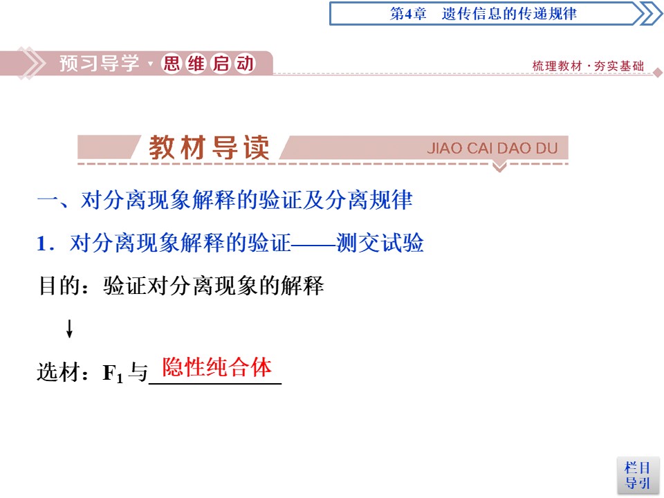 2019-2020学年北师大版必修2 第4章 第1节第2课时 分离规律的试验与分析(二)、分离规律在育种中的应用 课件（45张）第3页