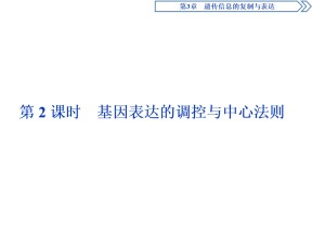 2019-2020学年北师大版必修2 第3章 第2节第2课时 基因表达的调控与中心法则 课件（36张）