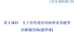 2019-2020学年 浙科版 必修2 关于伴性遗传的两种重要题型的解题思路（题型课）   课件  （41张）