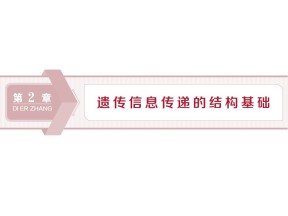 2019-2020学年北师大版必修2 第2章 第1节第1课时 染色体的形态结构与染色体在减数分裂中的行 课件（31张）