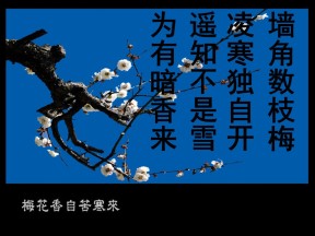 2019-2020学年度教科版选修3-3 1.3分子的热运动 课件(1)(26张)