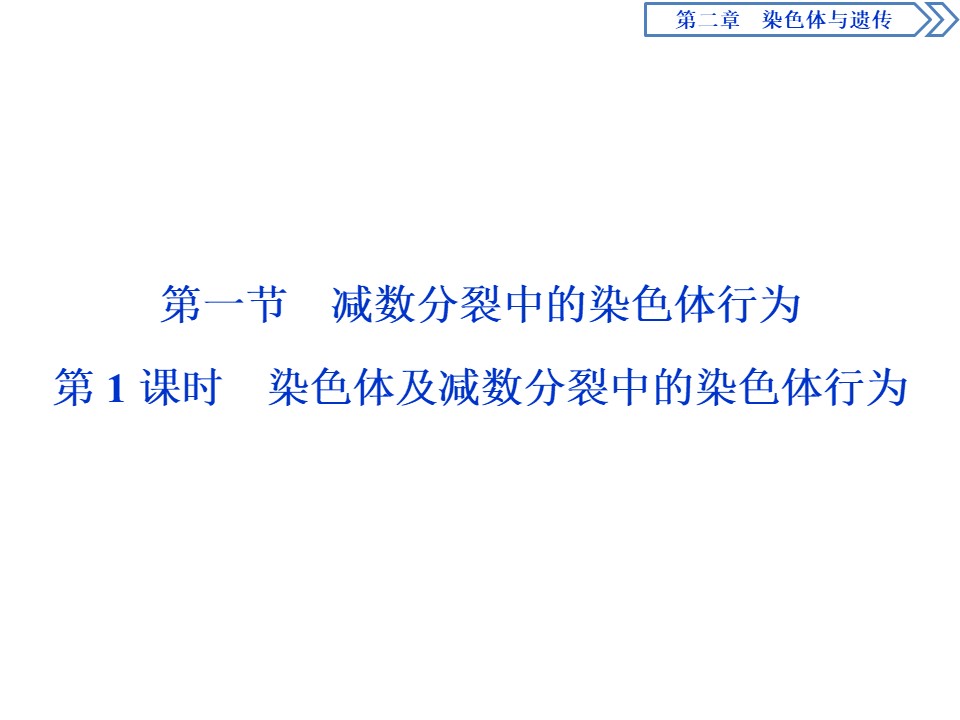 2019-2020学年 浙科版 必修2 染色体及减数分裂中的染色体行为  课件  （60张）第2页