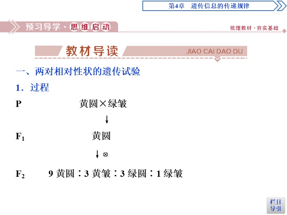 2019-2020学年北师大版必修2 第4章 第2节第1课时 自由组合规律的试验与分析 课件（41张）第3页