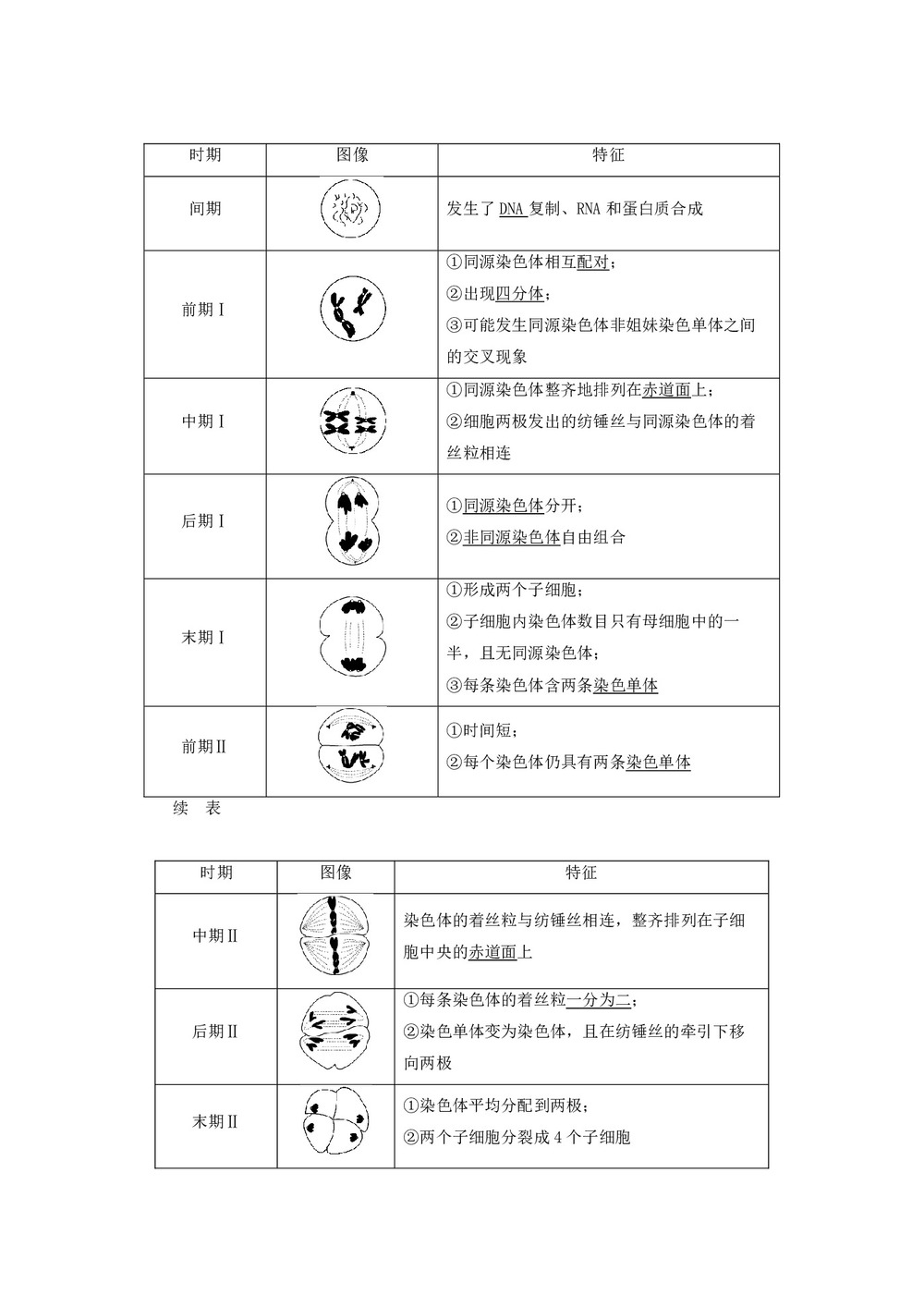 2019-2020学年 浙科版  必修二 染色体及减数分裂中的染色体行为 第1课时 教案第2页