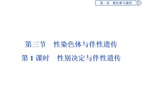 2019-2020学年 浙科版 必修2 性别决定与伴性遗传   课件  （43张）