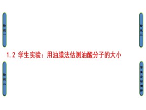 2019-2020学年度教科版选修3-3 1.2学生实验：用油膜法估测油酸分子的大小 课件(6)(16张)