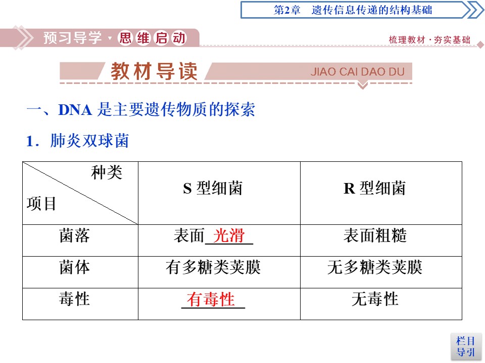 2019-2020学年北师大版必修2 第2章 第2节第1课时 DNA是主要的遗传物质 课件（54张）第3页