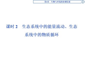 2019-2020学年北师大版必修3 第4章 第1节 课时2　生态系统中的能量流动、生态系统中的物质循环 课件（71张）