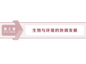 2019-2020学年北师大版必修3 第4章 第1节 课时1　生态系统的结构 课件（37张）