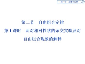 2019-2020学年 浙科版 必修2 两对相对性状的杂交实验及对自由组合现象的解释    课件  （33张）