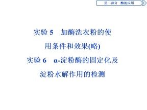 2019-2020学年 浙科版 选修1 淀粉酶的固定化及淀粉水解作用的检测 课件  （28张）