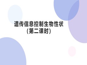 2019-2020学年 苏教版 必修2 遗传信息控制生物性状（第2课时）  课件  （16张）