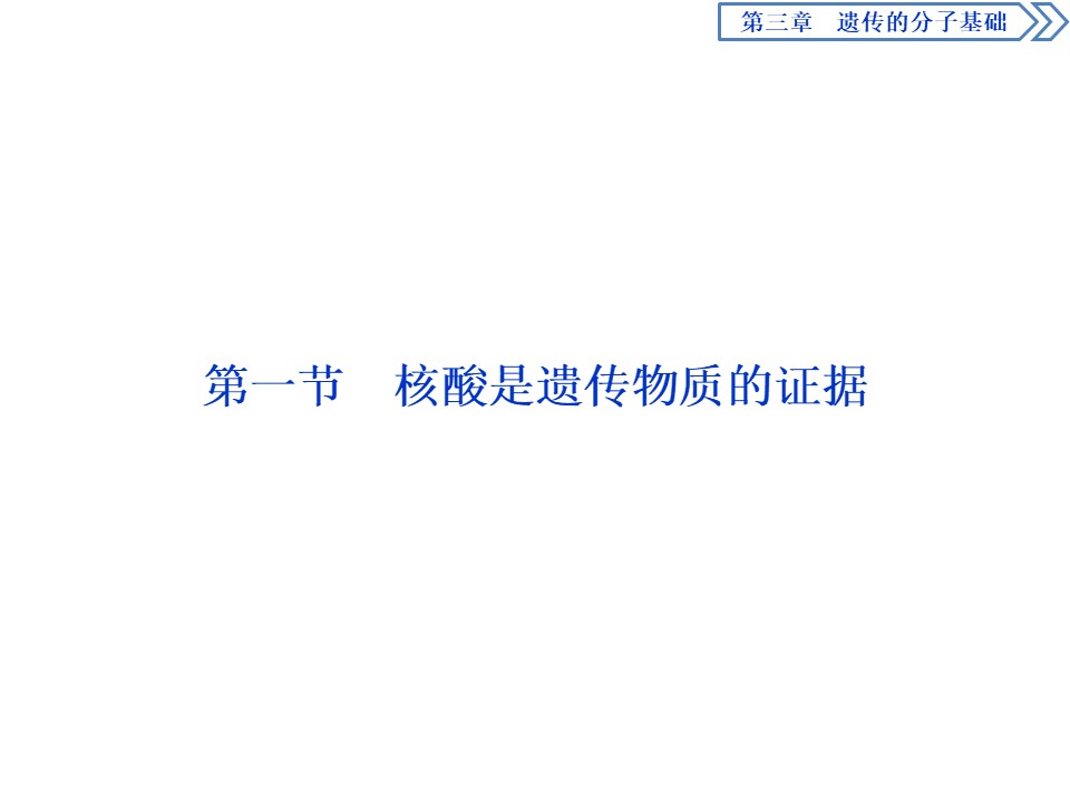 2019-2020学年 浙科版 必修2核酸是遗传物质的证据  课件  （54张）第2页