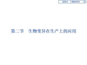 2019-2020学年 浙科版 必修2生物变异在生产上的应用   课件  （41张）