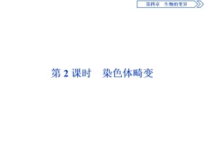2019-2020学年 浙科版 必修2染色体畸变  课件  （45张）