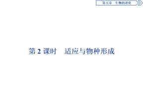 2019-2020学年 浙科版 必修2 适应与物种形成 课件  （34张）