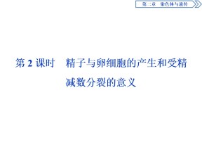2019-2020学年 浙科版 必修2 精子与卵细胞的产生和受精、减数分裂的意义  课件  （41张）