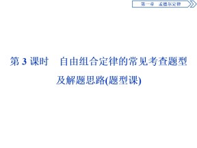 2019-2020学年 浙科版 必修2 自由组合定律的常见考查题型及解题思路（题型课）  课件  （37张）