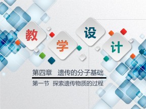 2019-2020学年 苏教版 必修2 探索遗传物质的过程  课件  （32张）