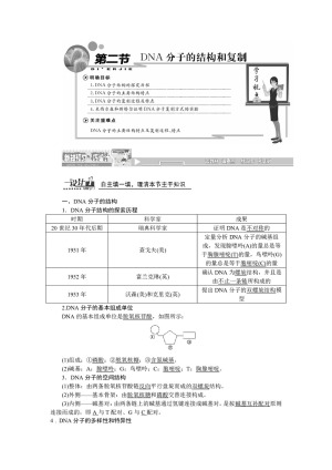 2019-2020学年 苏教版 必修二 DNA分子的结构和复制  教案