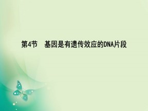 2019-2020学年人教版必修二 第3章　第4节　基因是有遗传效应的DNA片段 课件（22张）