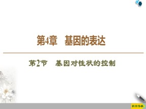 2019-2020学年人教版必修2 第4章 第2节　基因对性状的控制 课件（56张）