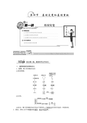 2019-2020学年 苏教版 必修二  基因突变  教案