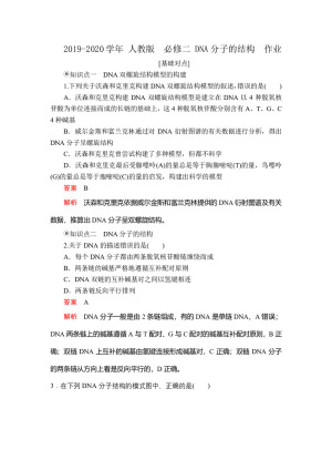 2019-2020学年 人教版  必修二 DNA分子的结构  作业