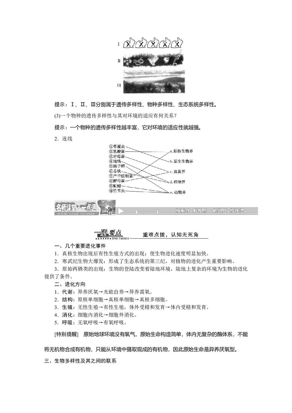 2019-2020学年 苏教版 必修二 生物进化和生物多样性  教案第3页