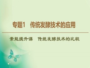 2019-2020学年人教版选修1 专题1  素能提升课  传统发酵技术的比较 课件（19张）