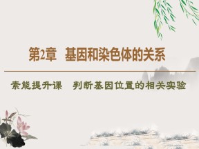 2019-2020学年人教版必修2 第2章 素能提升课  判断基因位置的相关实验 课件（19张）