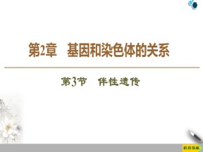 2019-2020学年人教版必修2 第2章 第3节　伴性遗传 课件（54张）