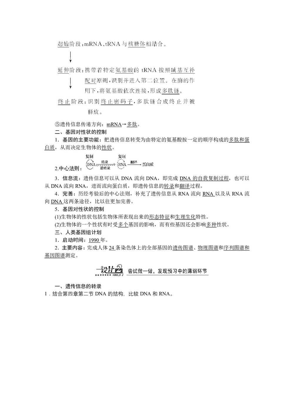 2019-2020学年 苏教版 必修二 基因控制蛋白质的合成  教案第2页