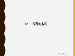 2019-2020学年 人教版 必修2  基因是有遗传效应的DNA片段 课件  （24张）