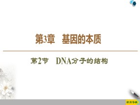 2019-2020学年人教版必修2 第3章 第2节　DNA分子的结构 课件（47张）