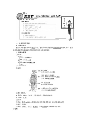2019-2020学年 苏教版 必修二 基因控制蛋白质的合成  教案
