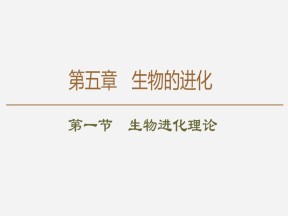 2019-2020学年 苏教版 必修2 生物进化理论  课件  （84张）