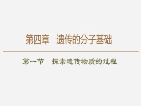 2019-2020学年 苏教版 必修2 探索遗传物质的过程  课件  （87张）