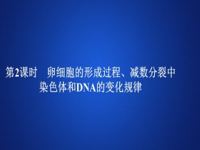 2019-2020学年 人教版 必修2 卵细胞的形成过程、减数分裂中染色体和DNA的变化规律 课件  （45张）