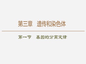 2019-2020学年 苏教版 必修2 基因的分离定律  课件  （93张）
